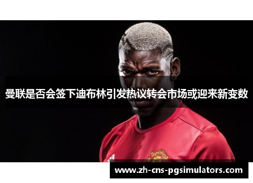 曼联是否会签下迪布林引发热议转会市场或迎来新变数