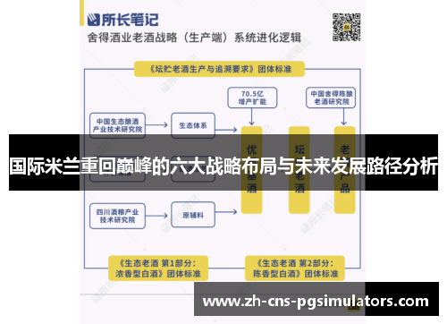 国际米兰重回巅峰的六大战略布局与未来发展路径分析