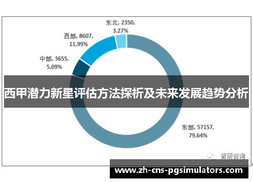 西甲潜力新星评估方法探析及未来发展趋势分析