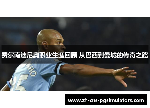 费尔南迪尼奥职业生涯回顾 从巴西到曼城的传奇之路