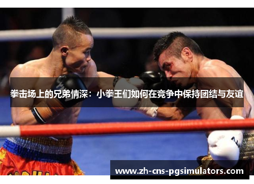 拳击场上的兄弟情深：小拳王们如何在竞争中保持团结与友谊