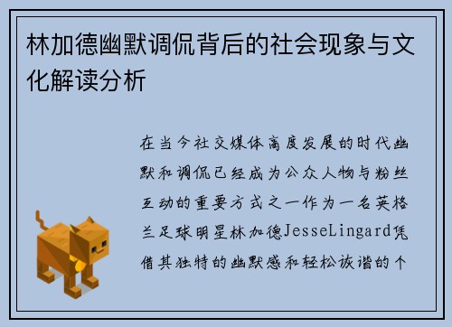 林加德幽默调侃背后的社会现象与文化解读分析